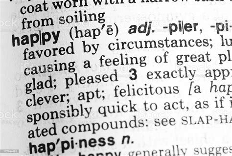 rappy definition|Urban Dictionary: rappie.